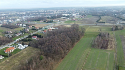 Działka Sprzedaż Dąbrowa Tarnowska