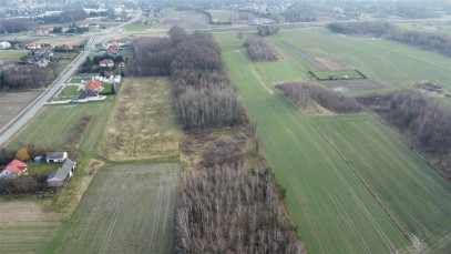 Działka Sprzedaż Dąbrowa Tarnowska