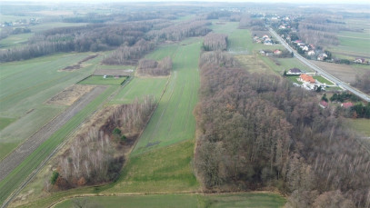 Działka Sprzedaż Dąbrowa Tarnowska