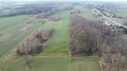 Działka Sprzedaż Dąbrowa Tarnowska