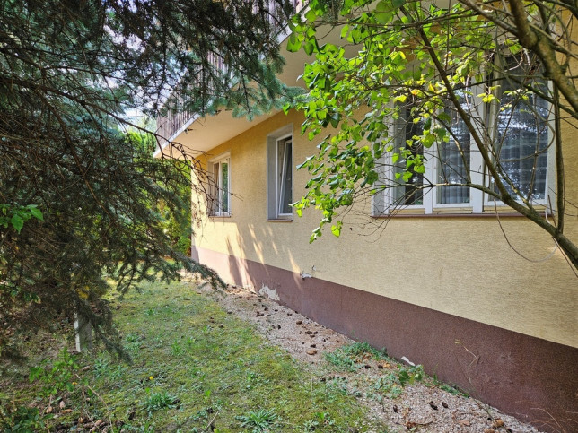 Dom Sprzedaż Szczucin 5