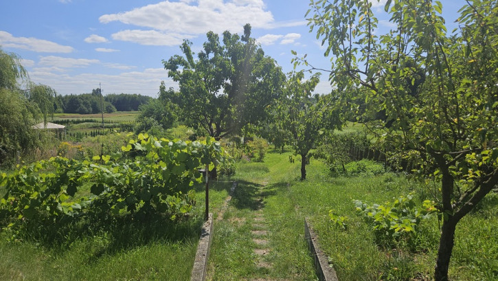 Dom Sprzedaż Lisia Góra 33