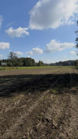 Działka Sprzedaż Wola Rzędzińska