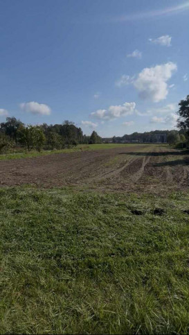 Działka Sprzedaż Wola Rzędzińska 11