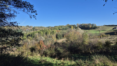 Dom Sprzedaż Uniszowa