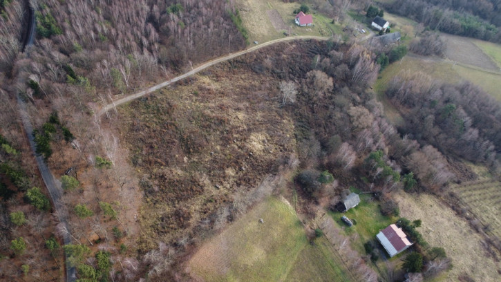 Działka Sprzedaż Wola Lubecka 6