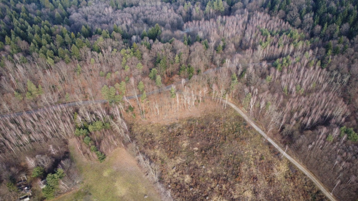 Działka Sprzedaż Wola Lubecka 9
