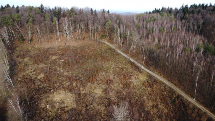 Działka Sprzedaż Wola Lubecka 13
