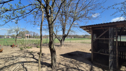 Dom Sprzedaż Pogórska Wola