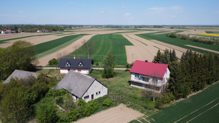 Dom Sprzedaż Janikowice 19
