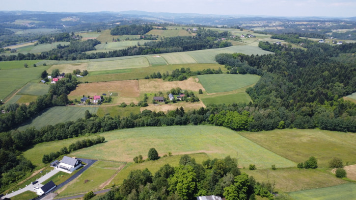 Działka Sprzedaż Zborowice 8