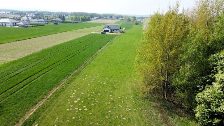 Działka Sprzedaż Ładna 4