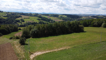 Działka Sprzedaż Ostrusza