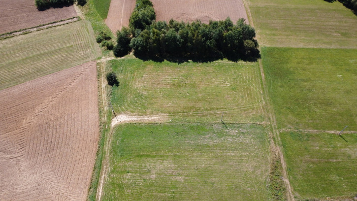 Działka Sprzedaż Ostrusza 10
